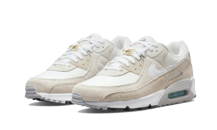 Road Performance Nike Air Max 90 First Use Cream