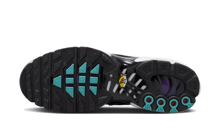 Nike Air Max Plus Reverse Grape Thermoregulating