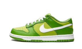 All Wear Soft Material Nike Dunk Low Chlorophyll