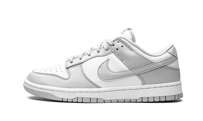 Ventilated Panels Nike Dunk Low Grey Fog