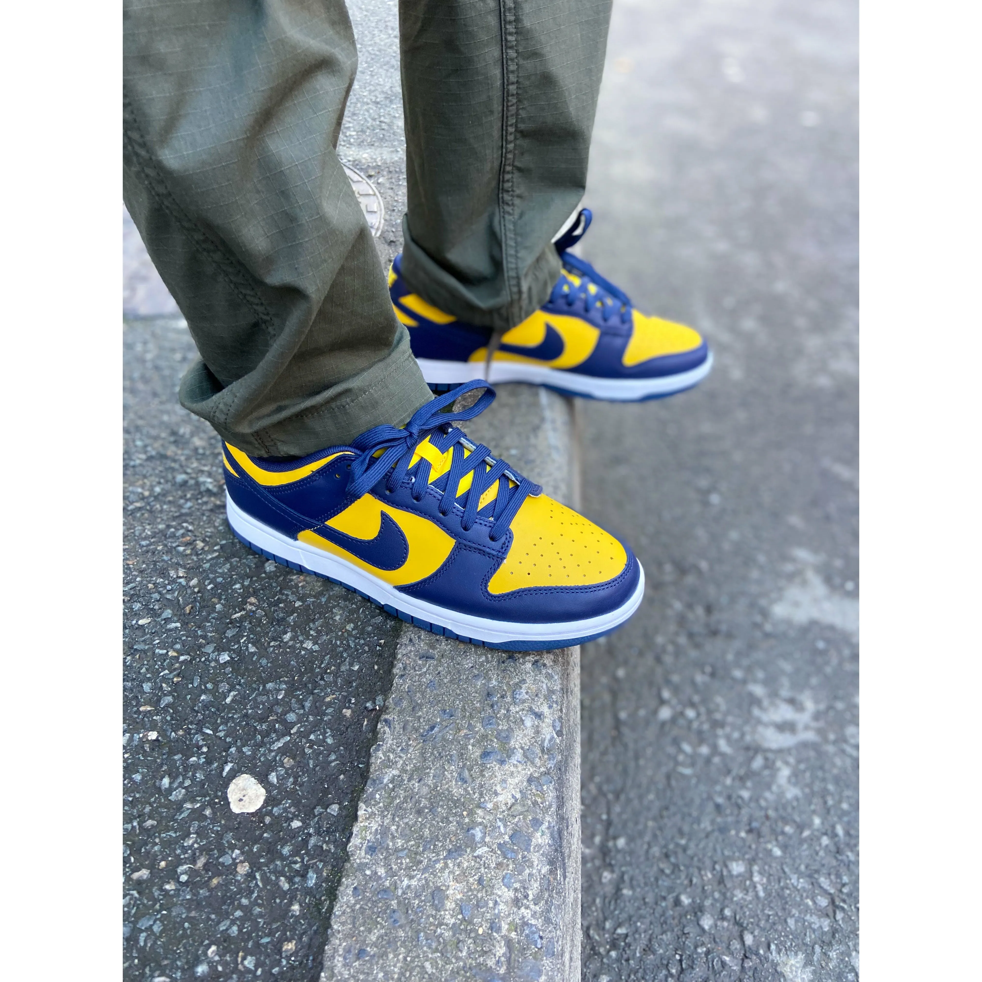 Nike Dunk Low Michigan (2021/2023) (GS) circus - themed running gear logo - embossed shoes