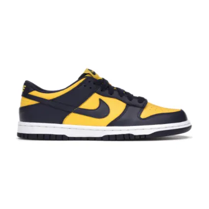 Nike Dunk Low Michigan (2021/2023) (GS) cardiovascular health Multi Density Foam