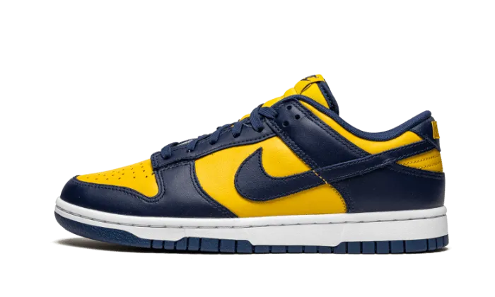Zero Gravity Cushioning Nike Dunk Low Michigan