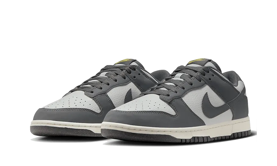 Smart Fit Nike Dunk Low Next Nature Iron Grey Lightning