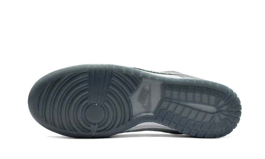 Low Impact Cushioning Nike Dunk Low Retro Premium Philly