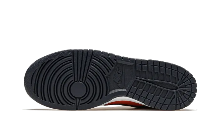 Ergonomic Sole Nike Dunk Low SP Champ Colors