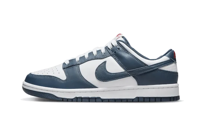 Nike Dunk Low Valerian Blue Comfort Focused