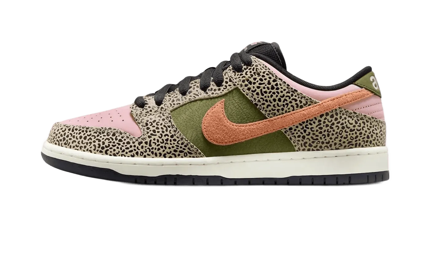 Street Friendly Nike SB Dunk Low Arts-Rec