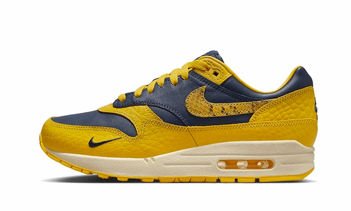 Modern Routine All Fit Nike Air Max 1 CO.JP Michigan