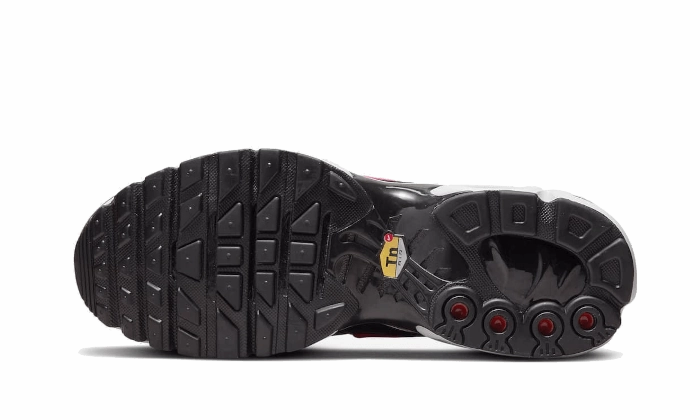 Light Flex RegularFit Nike Air Max Plus Dusk