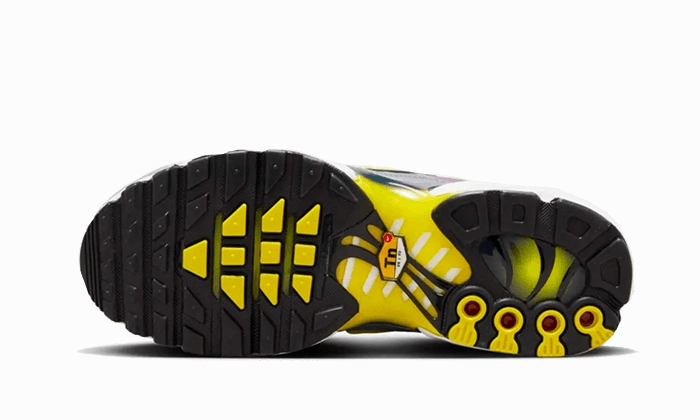 Nike Air Max Plus Violet Dust Steady walk Room To Grow