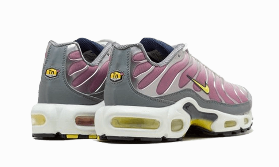 Nike Air Max Plus Violet Dust Flex Zones Engineering
