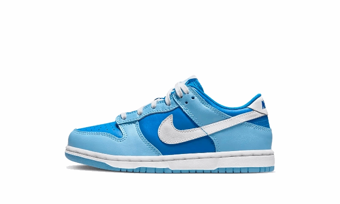 Nike Dunk Low Argon Enfant (PS) indoor shoes