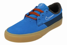 Nike Sb Shane PRM Mens Trainers Dc8902 400 Every Occasion