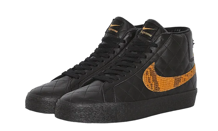 running in a yoga studio shoes SB Blazer Supreme Black