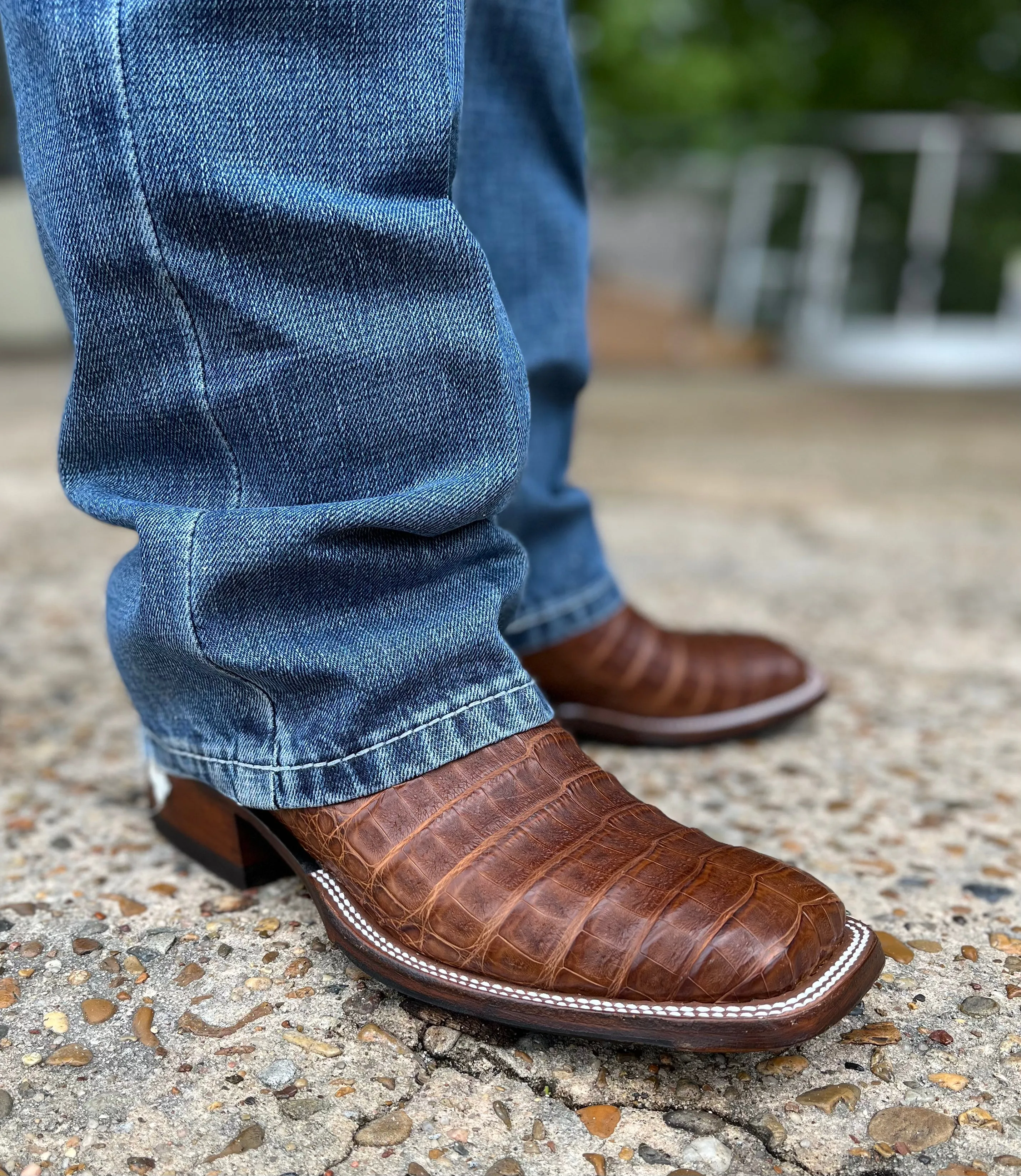 PATTON'S ANDERSON BEAN EXCLUSIVE "THE HARVEY" POST OAK CAIMAN BELLY