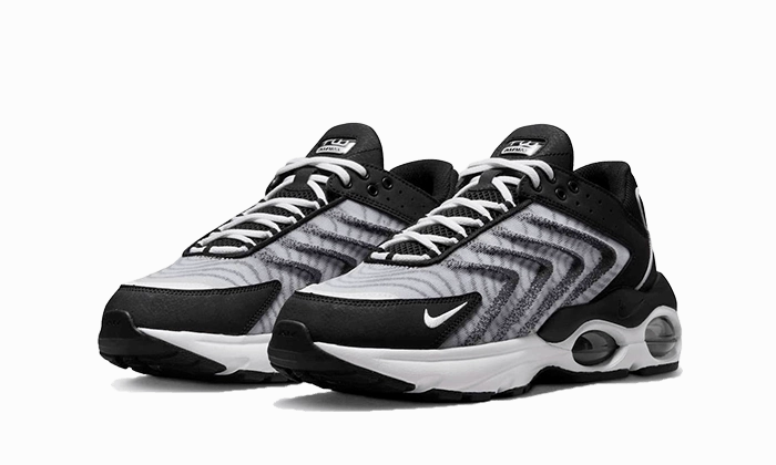 Multi-functional lining Nike Air Max TW Black White