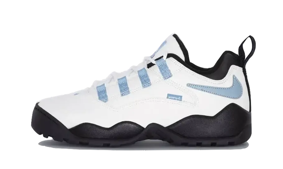 SB Darwin Low Supreme Sail continuous - running shoes