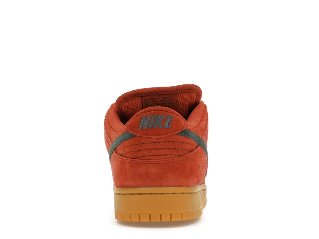SB Dunk Low Burnt Sunrise Supportive Gear Ankle padding