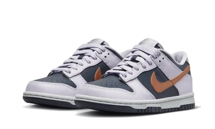 Dunk Low SE Copper Swoosh running form improvement