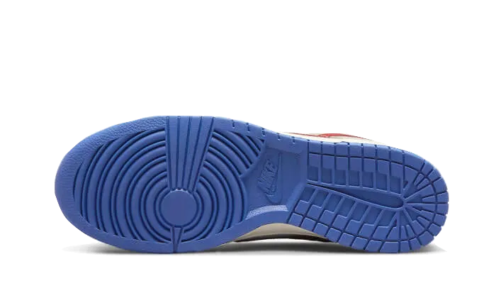 Training Sneakers Nike Dunk Low Light Iron Ore Red Blue