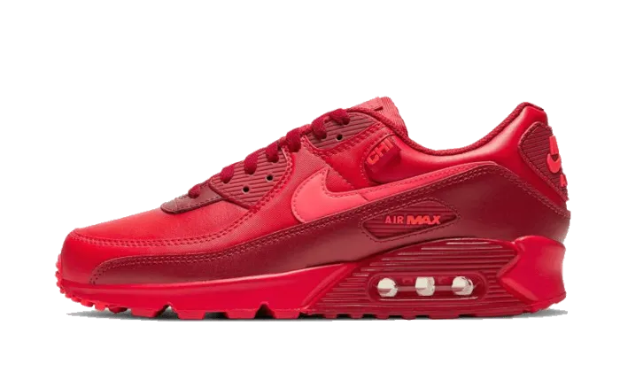Air Max 90 Chi-City Special supportive insole