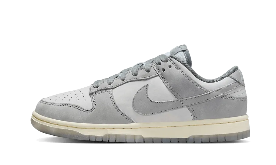 Nike Dunk Low Cool Grey Football Grey Motion Control Frame