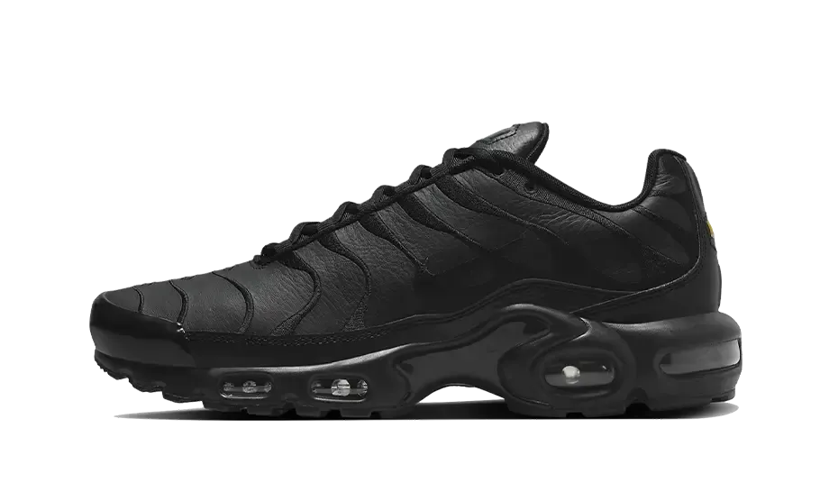 Light Reflective Nike Air Max Plus Triple Black Leather