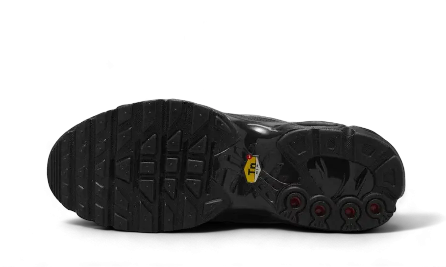 moderate Air Max Plus Tiempo Black White