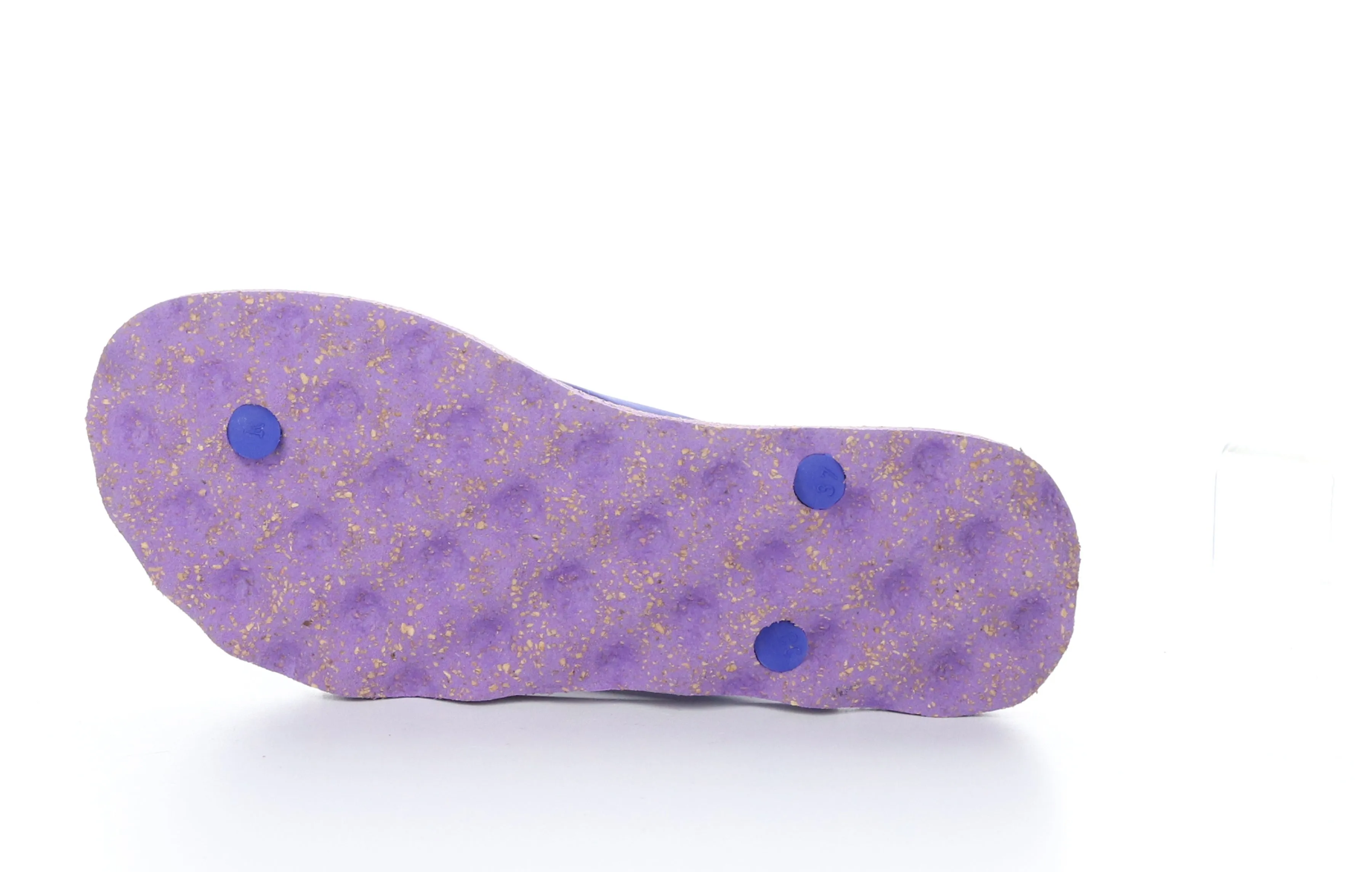 TURTLE_L Blue Rubber Strap Beach Flip-Flops