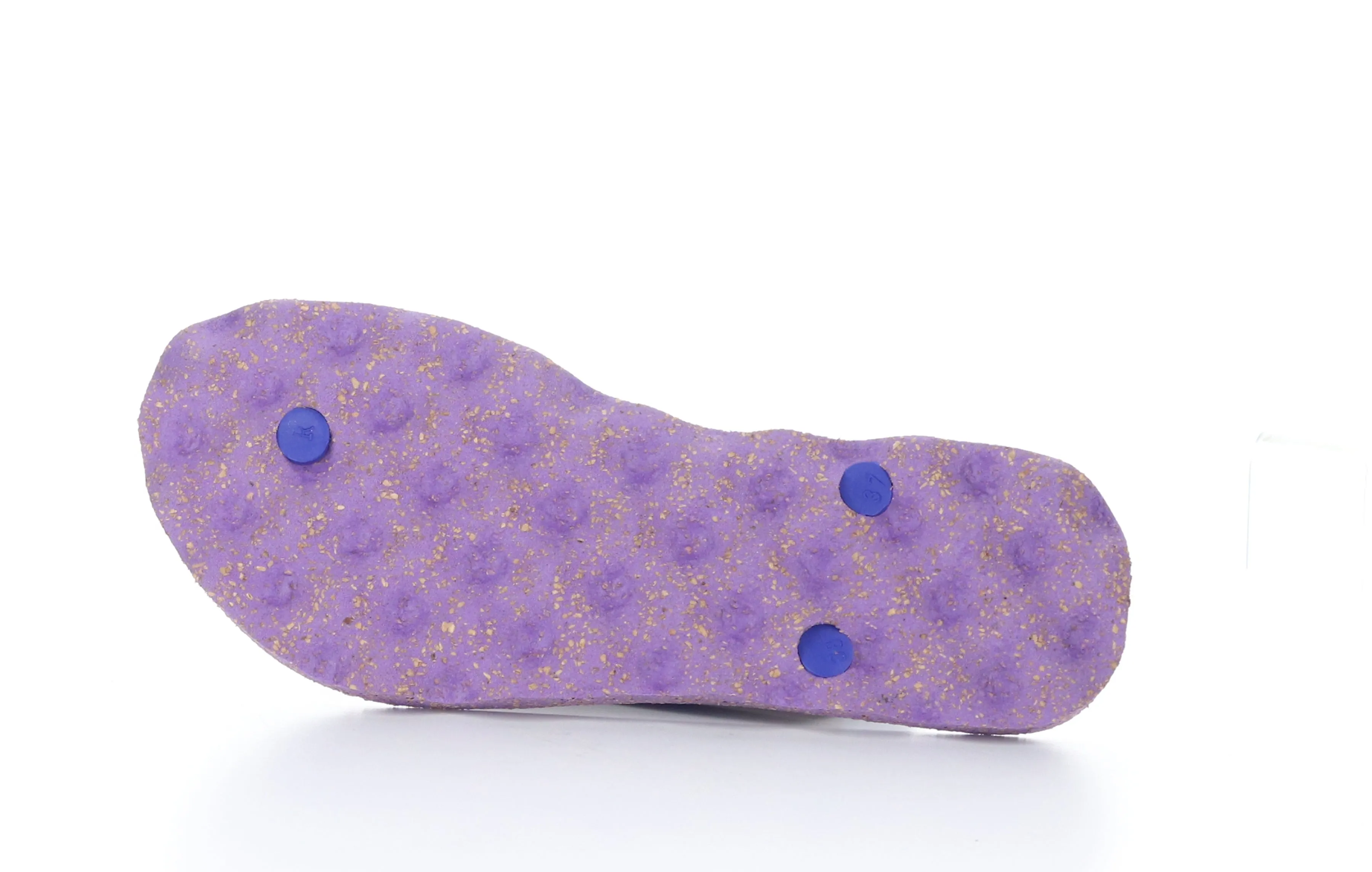 TURTLE_L Blue Rubber Strap Beach Flip-Flops
