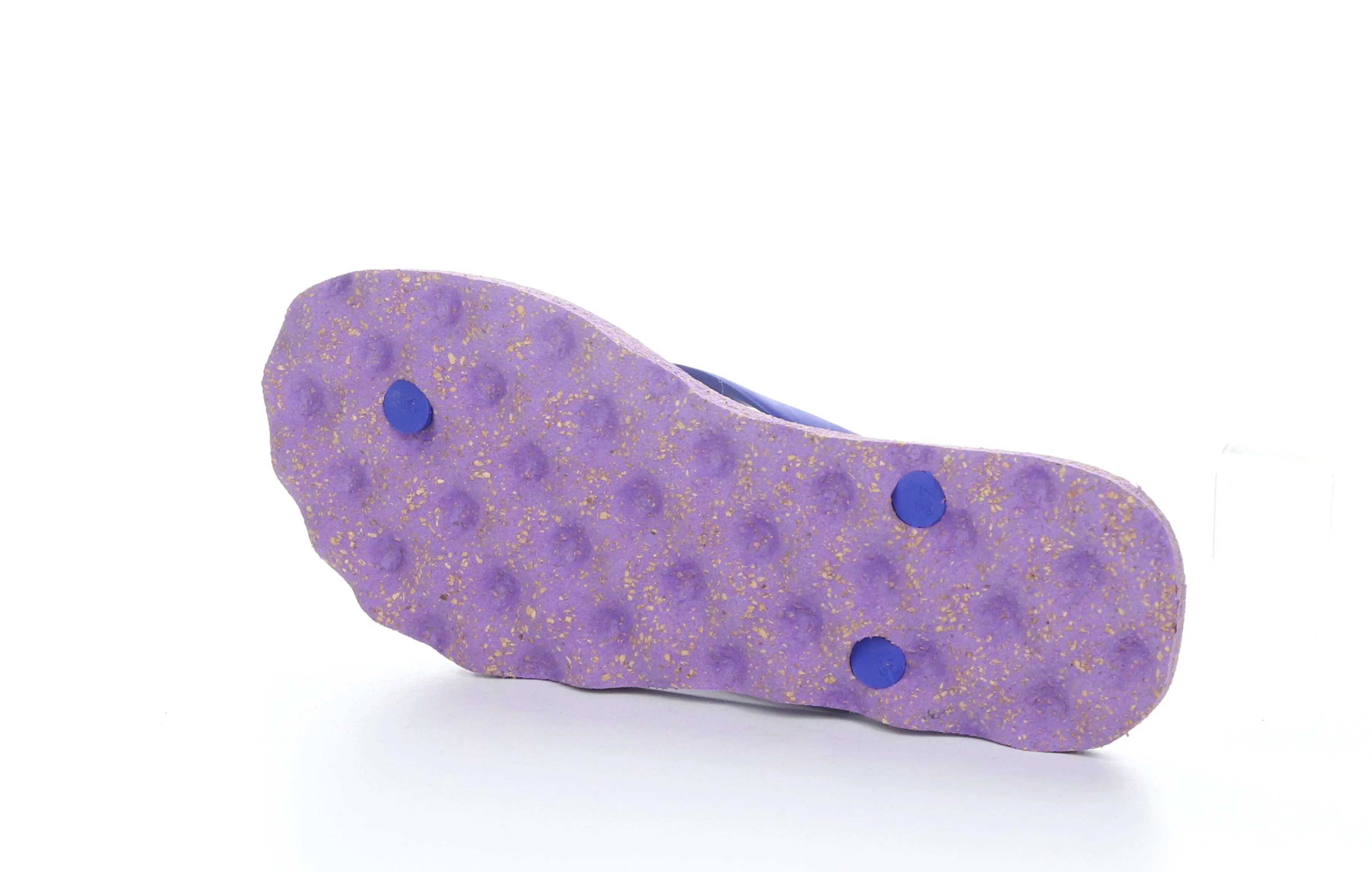 TURTLE_L Blue Rubber Strap Beach Flip-Flops