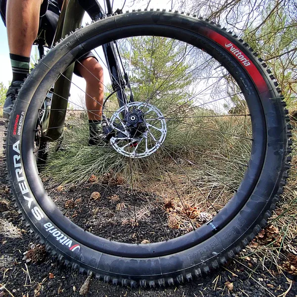 Vittoria Syerra Down Country G2 29"