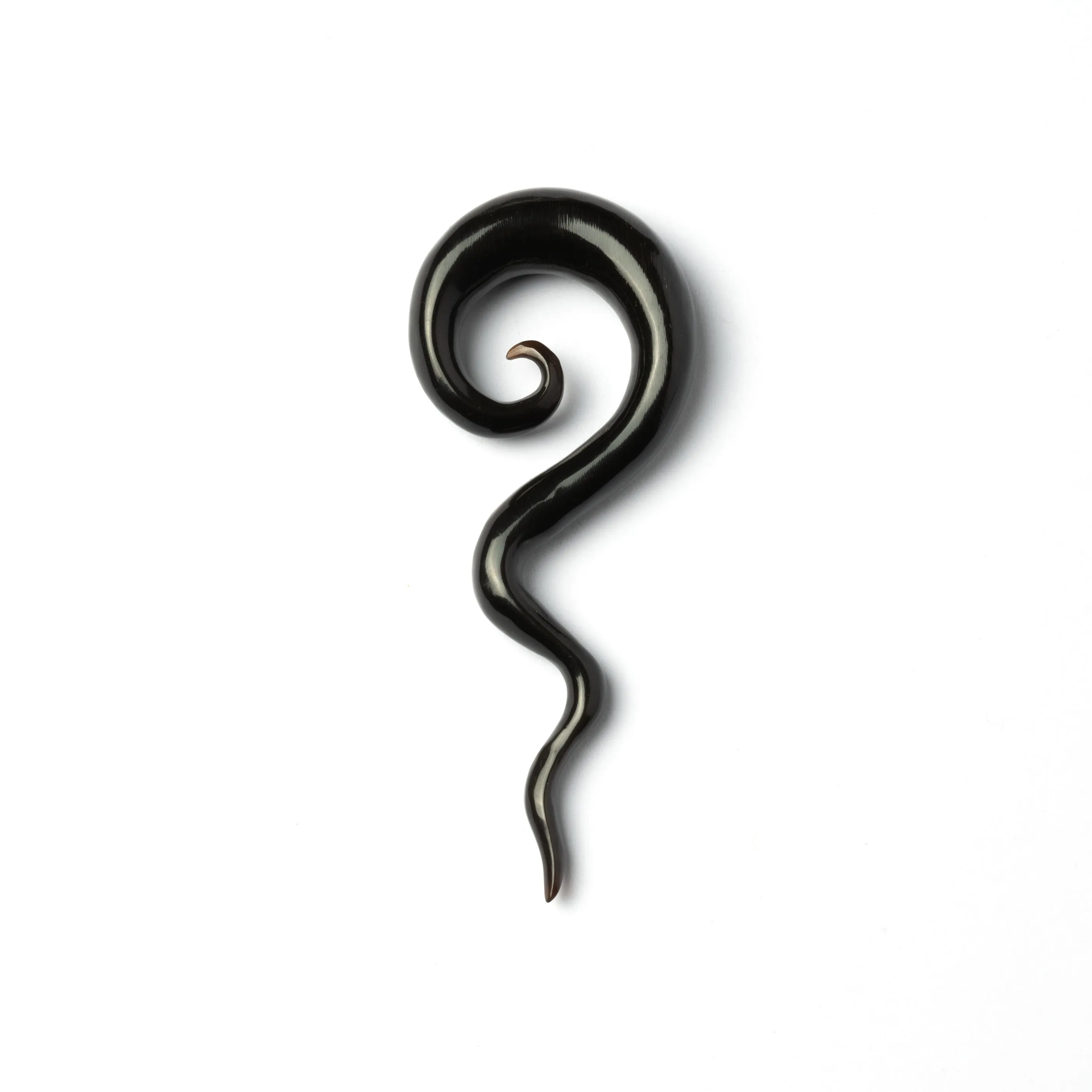 Wailuku Black Ear Stretchers